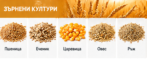 Селскостопански продукти, Сортиране, почистване, калибриране, Сортиране на селскостопански продукти, СортБГ ООД, SortBG Ltd., внос о сервиз, фото, сепаратори, калибратори, сортиращи, почистващи, дозиращи, кантари, теглови, дозатори, сепаратори